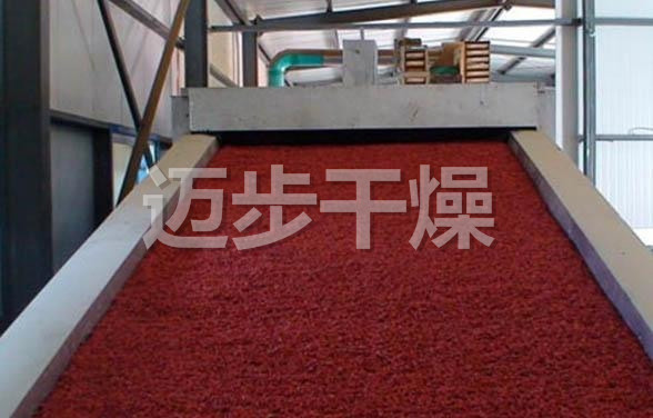 DWC系列脱水蔬菜带式干燥机
